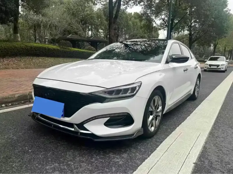 Hyundai Fista, 2019