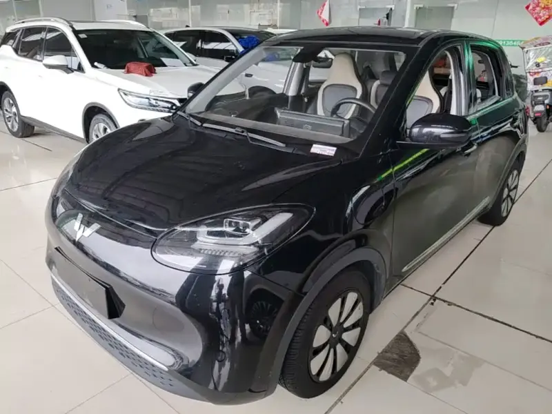 Wuling Bingo, 2023