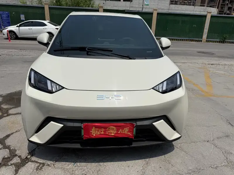 BYD Seagull, 2024