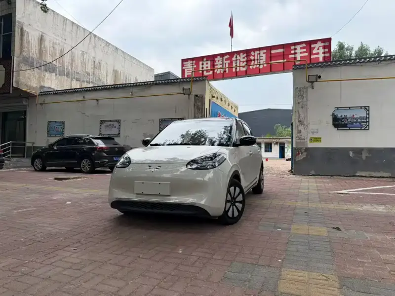 Wuling Bingo, 2024