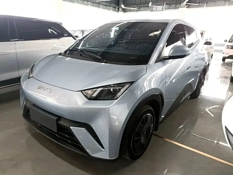 BYD Seagull, 2024