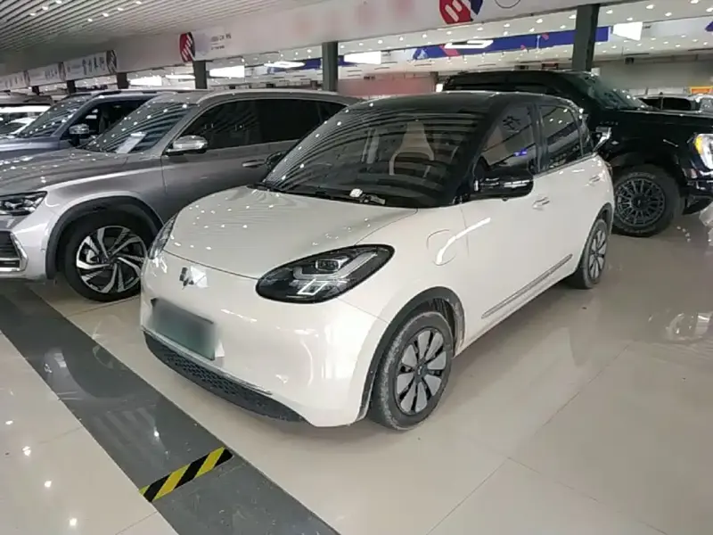 Wuling Bingo, 2024