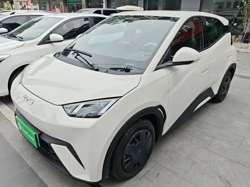 BYD Seagull, 2025