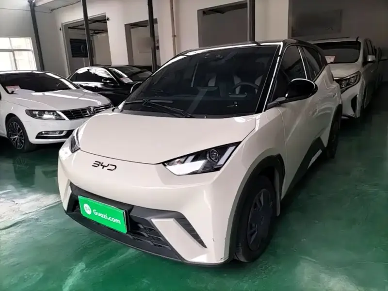 BYD Seagull, 2025