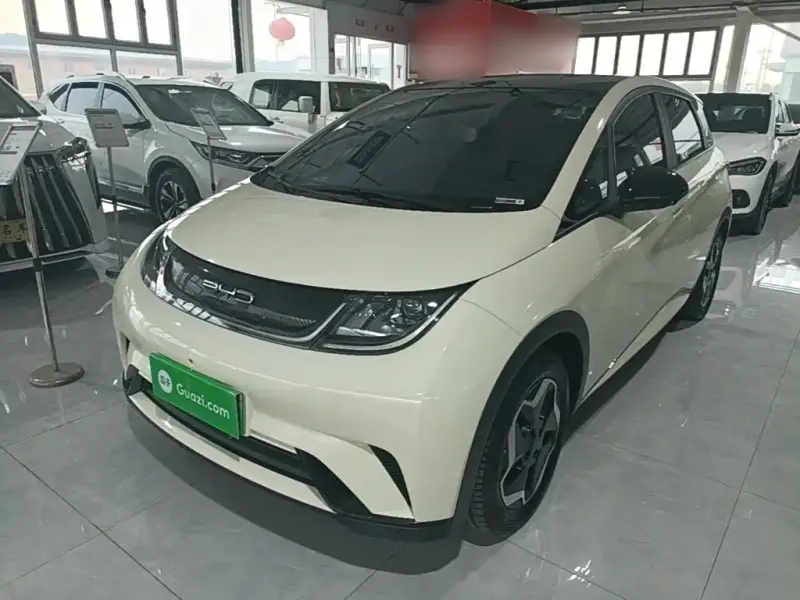 BYD Dolphin, 2022
