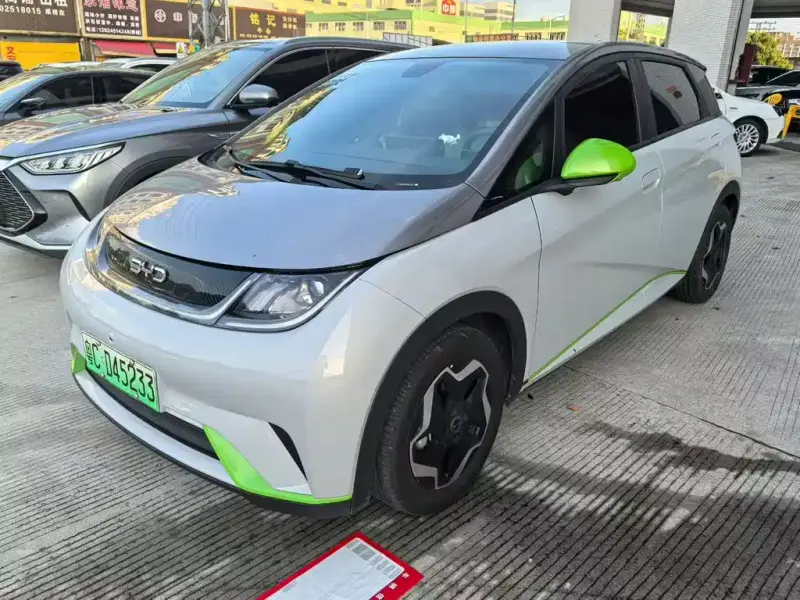 BYD Dolphin, 2022