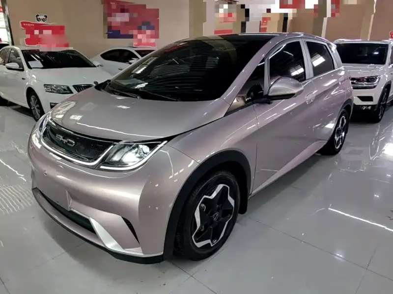 BYD Dolphin, 2023