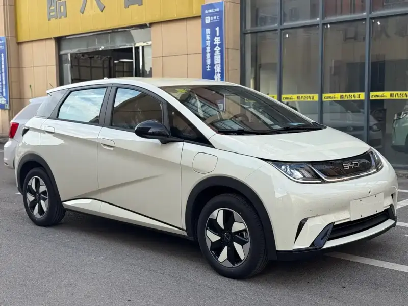 BYD Dolphin, 2026