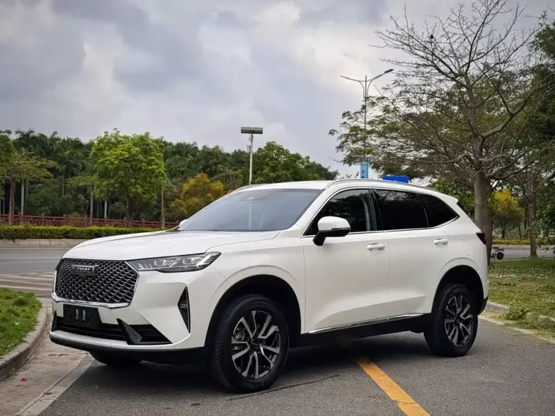 Haval H6, 2025