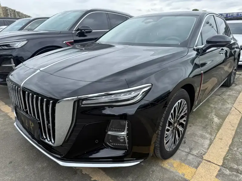 Hongqi H5, 2024