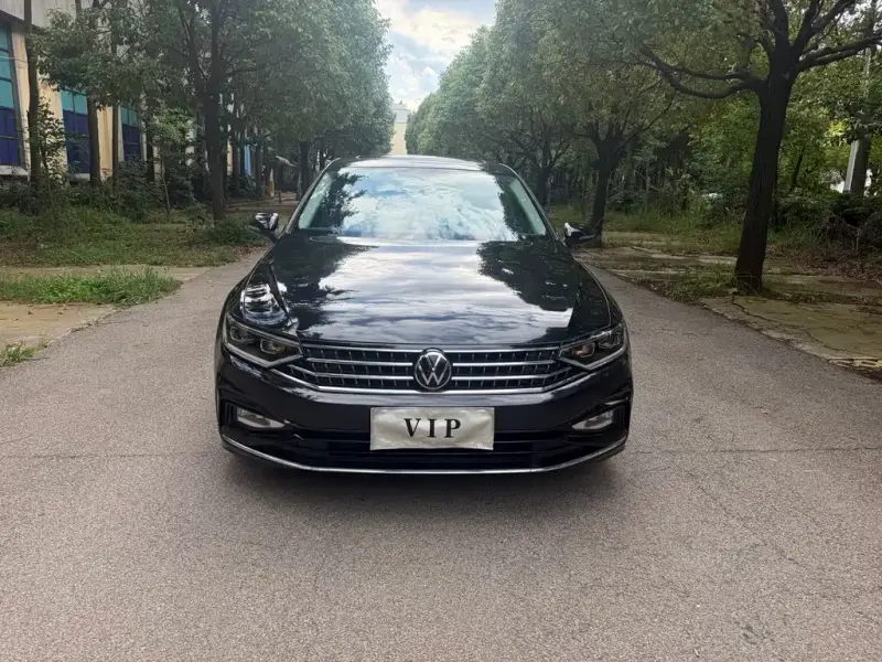 Volkswagen Magotan, 2024
