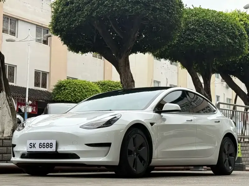 Tesla Model 3, 2022