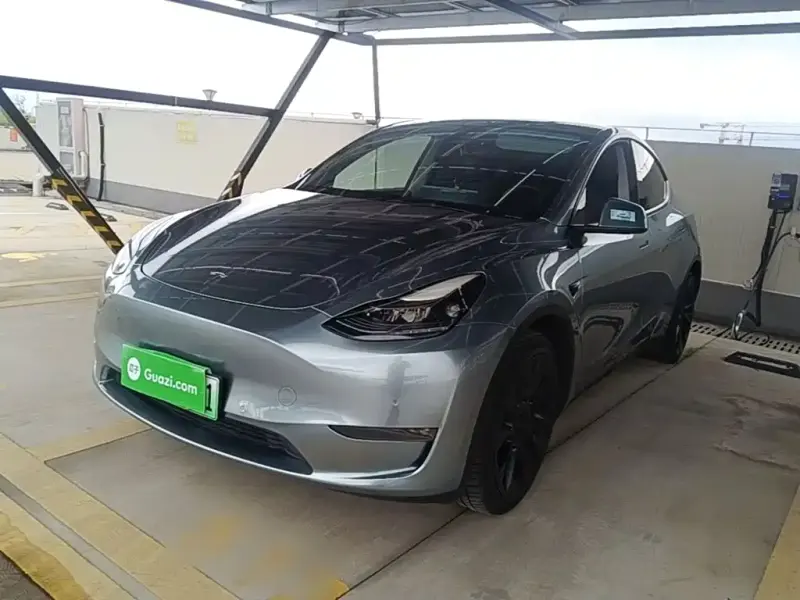 Tesla Model Y, 2021