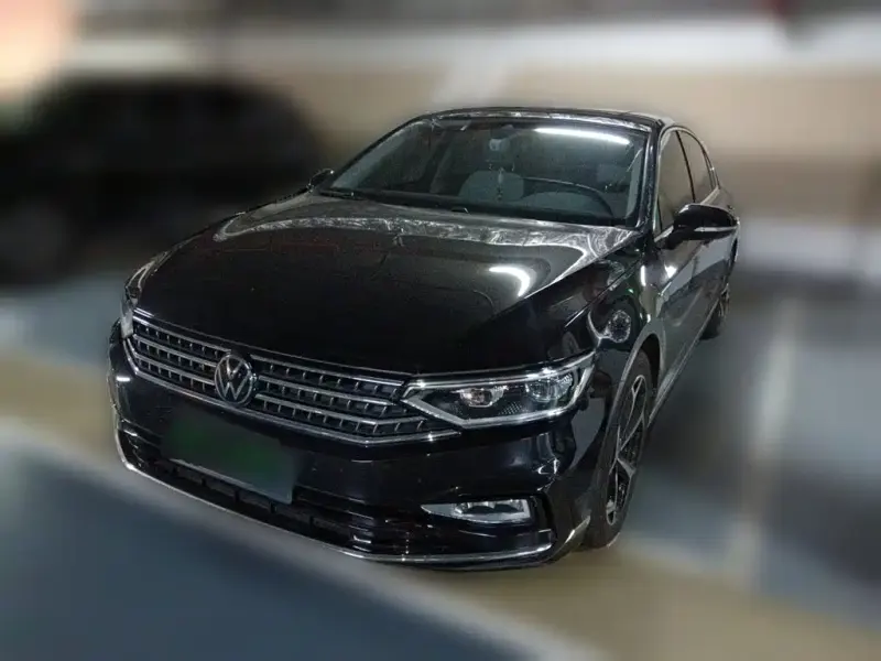 Volkswagen Magotan, 2024