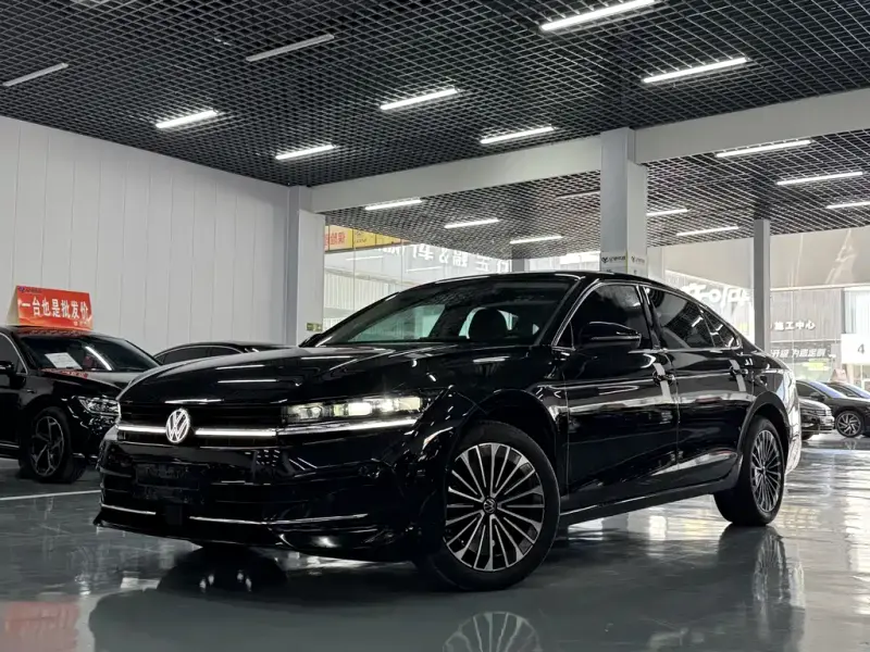 Volkswagen Magotan, 2024