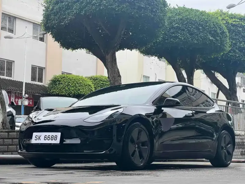 Tesla Model 3, 2023