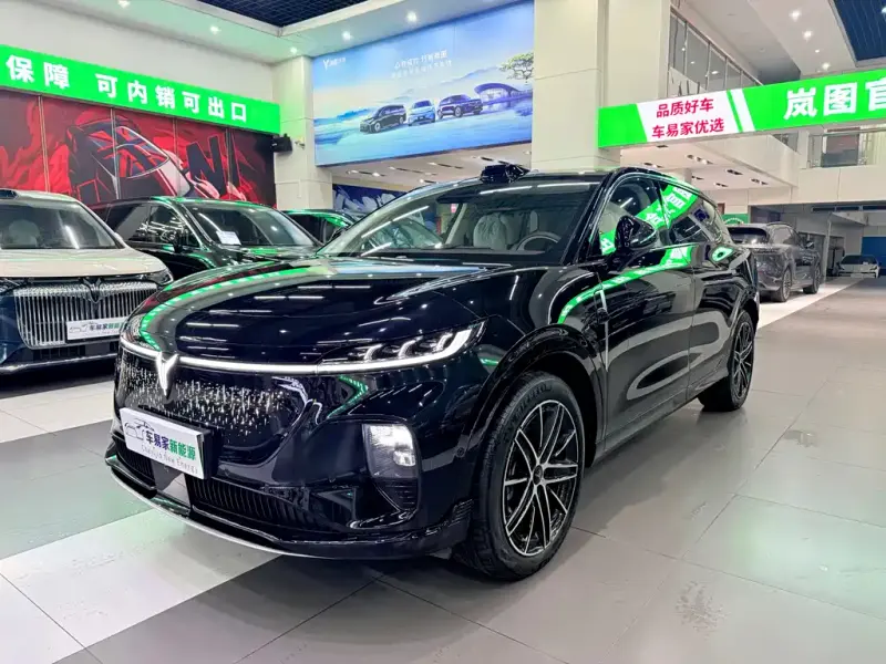 VOYAH Zhiyin, 2025