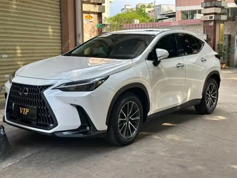Lexus NX New Energy, 2024