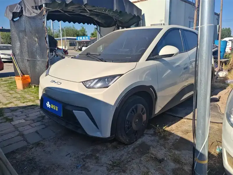 BYD Seagull, 2024