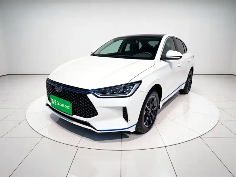 BYD e2, 2021