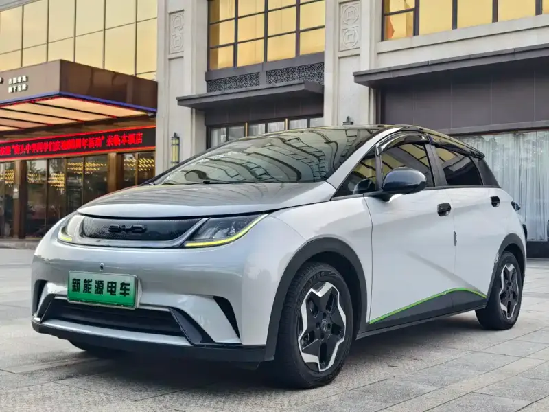BYD Dolphin, 2022