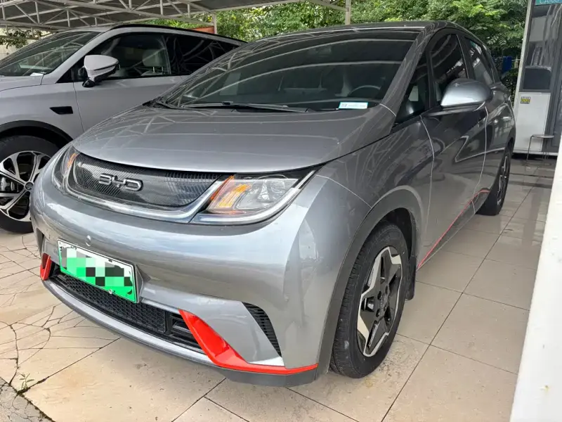 BYD Dolphin, 2022
