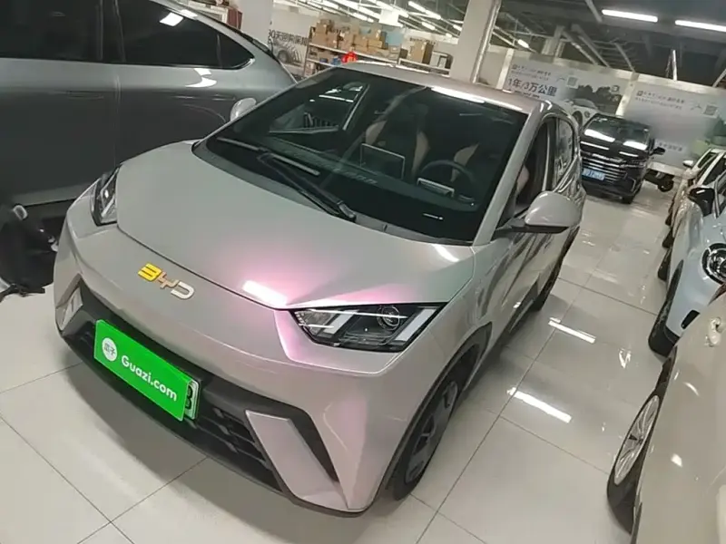 BYD Seagull, 2024