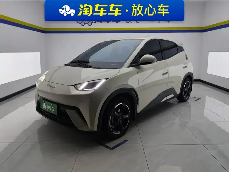 BYD Seagull, 2024