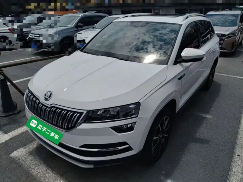 Skoda Karoq, 2019