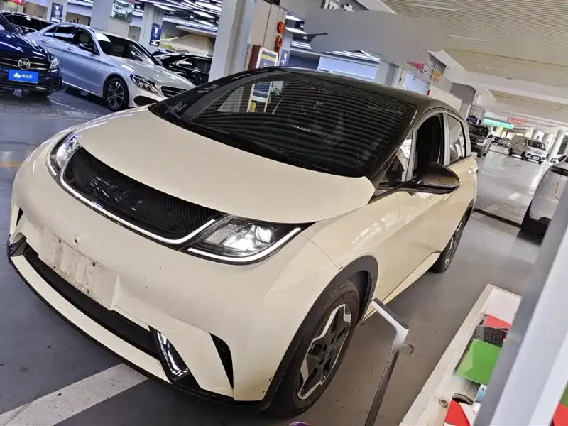 BYD Dolphin, 2023