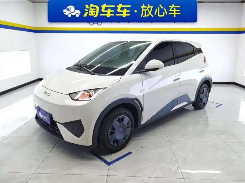 BYD Seagull, 2026