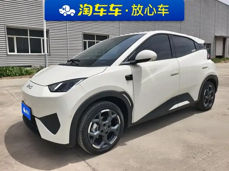 BYD Seagull, 2025