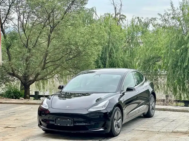 Tesla Model 3, 2020