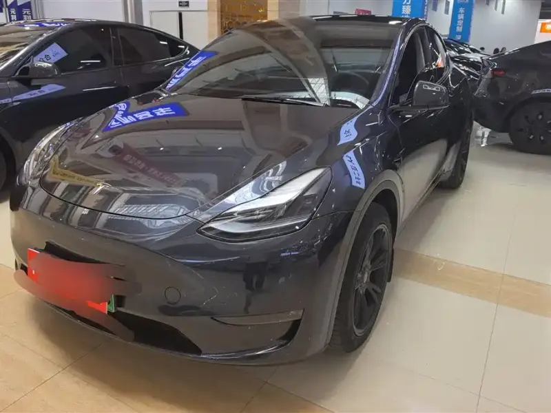 Tesla Model Y, 2024