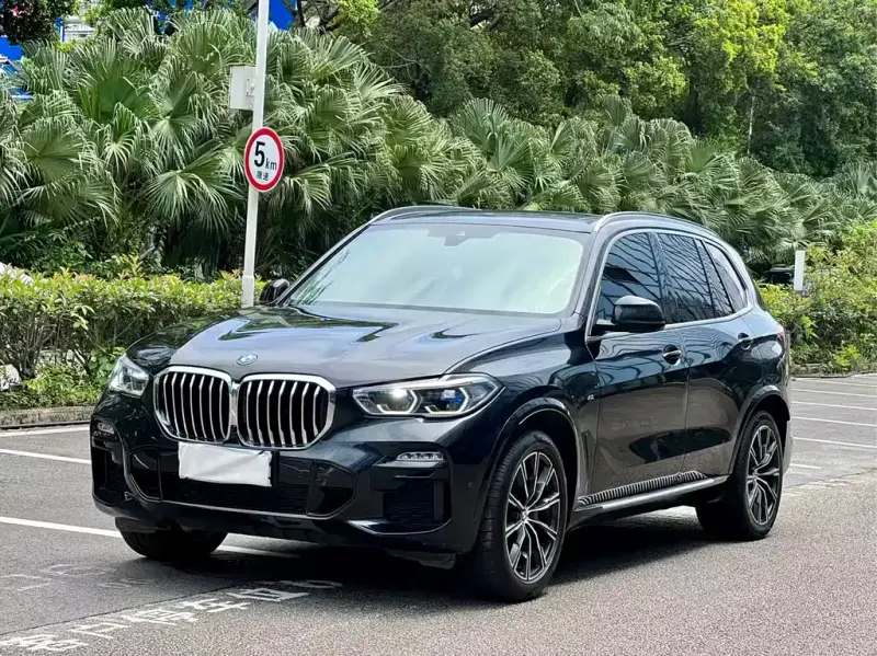 BMW X5 (Import), 2019