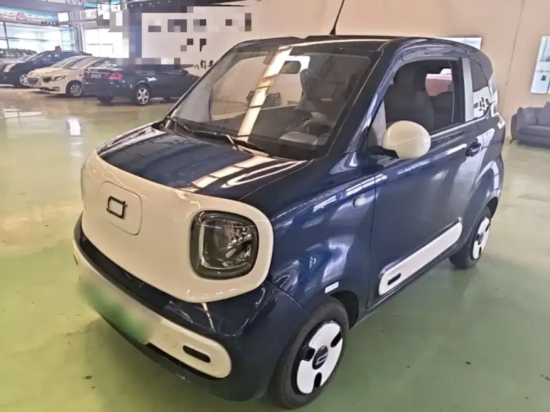 Bestune Pony, 2024