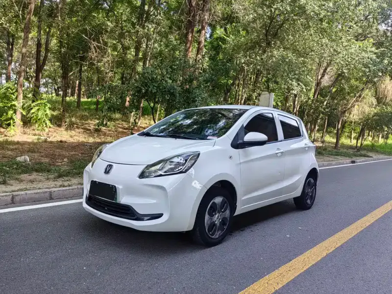 Changan Benben E-Star, 2021