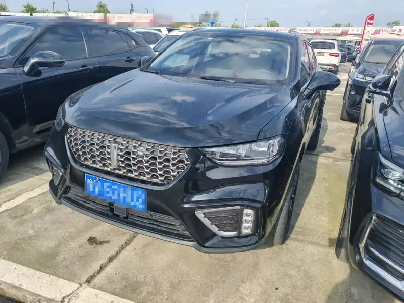 Wey VV5, 2020