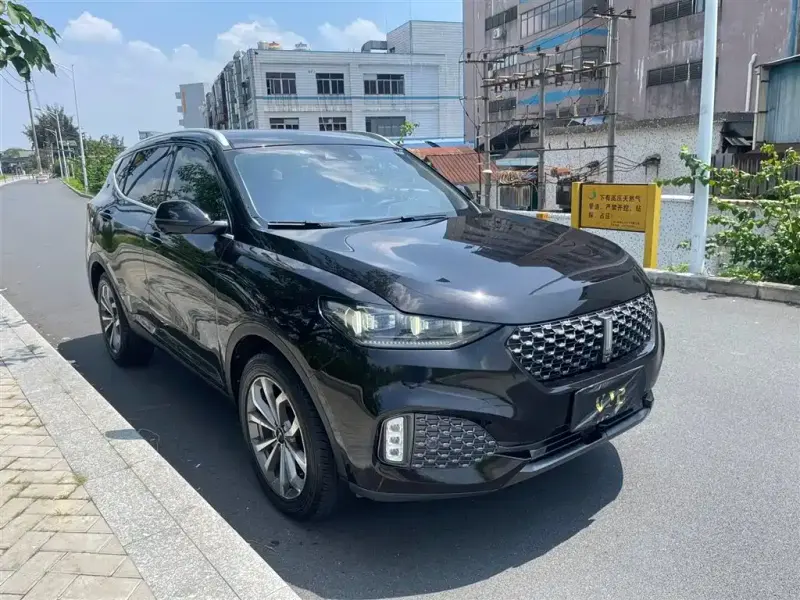 Wey VV6, 2019