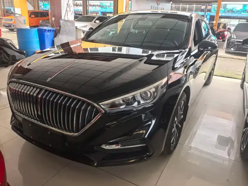 Hongqi H5, 2020