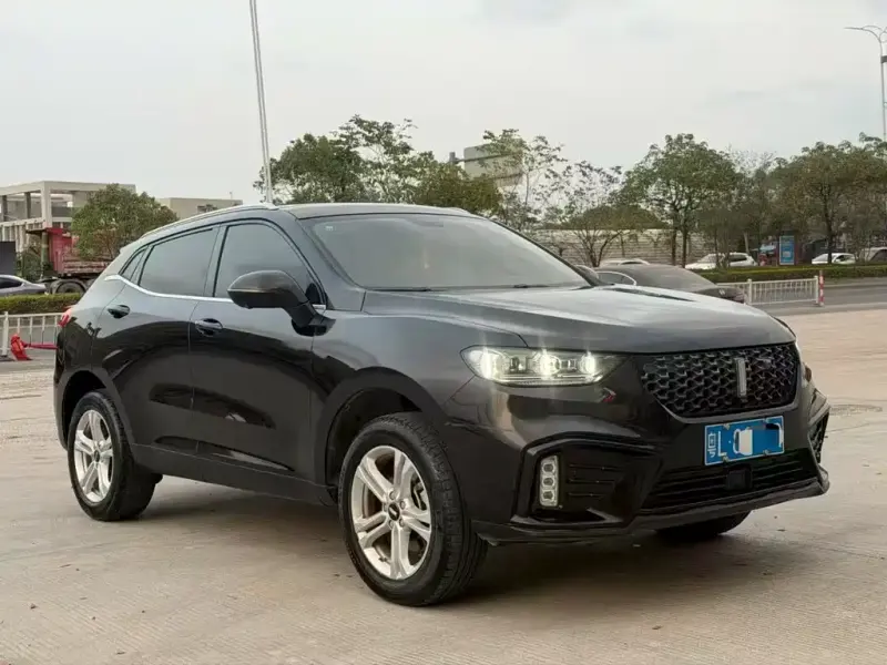 Wey VV5, 2020