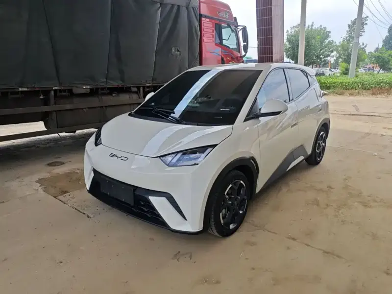 BYD Seagull, 2025
