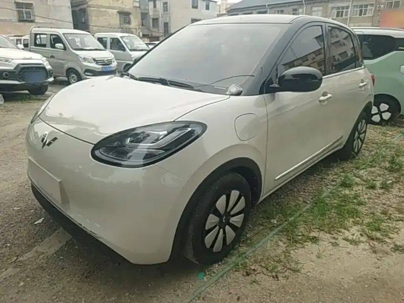 Wuling Bingo, 2023