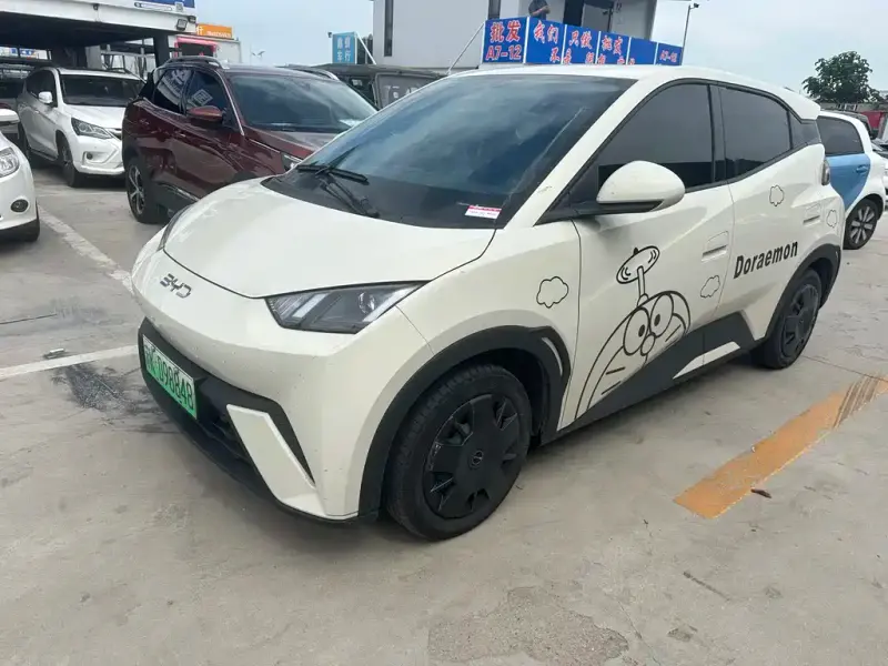 BYD Seagull, 2024