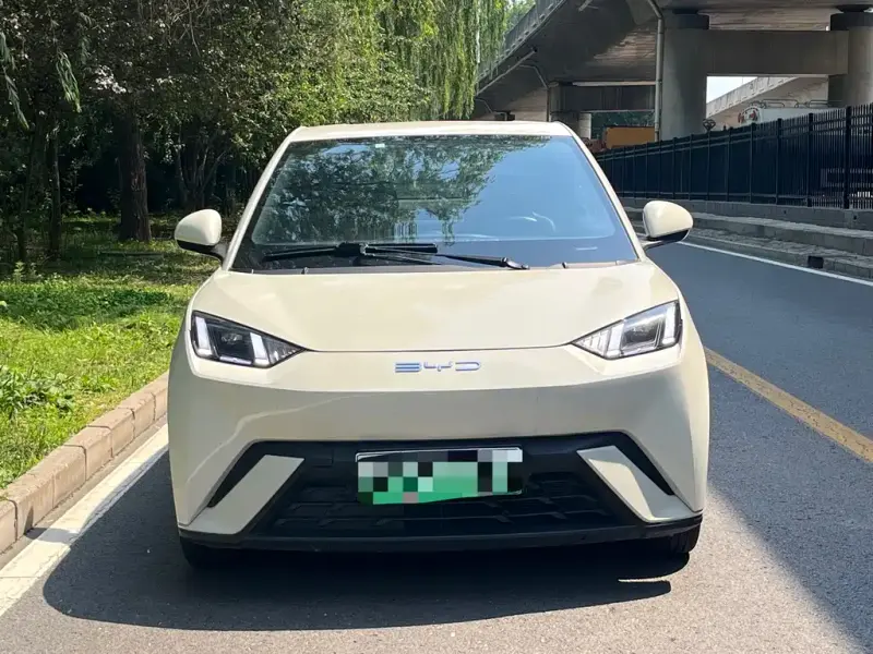 BYD Seagull, 2024