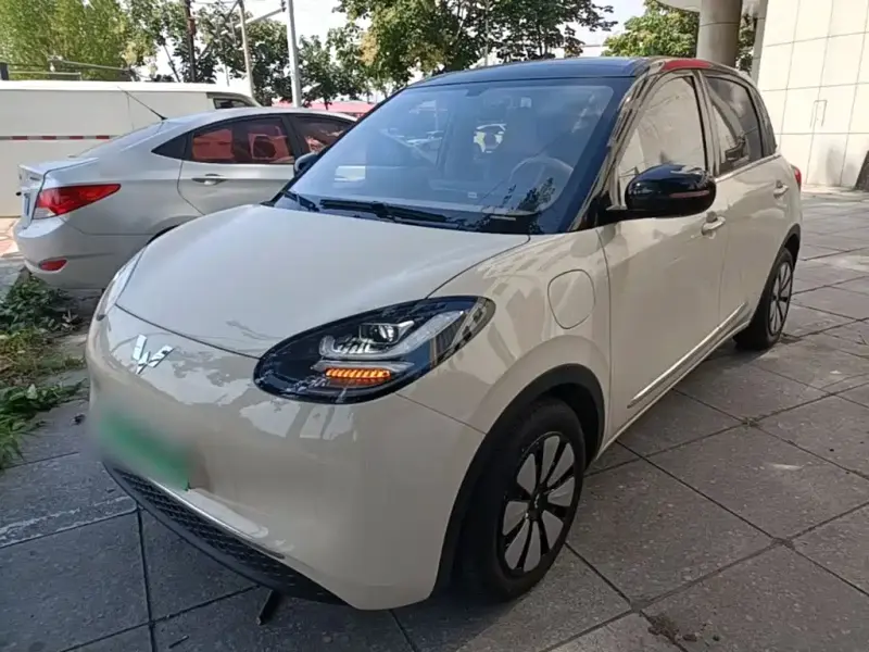 Wuling Bingo, 2025