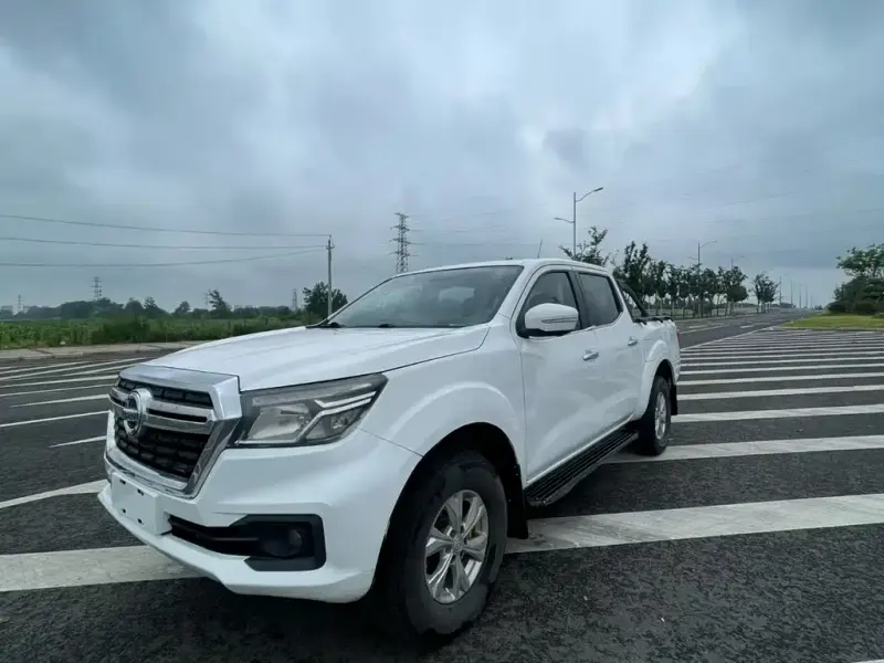 Dongfeng Rich 6, 2019