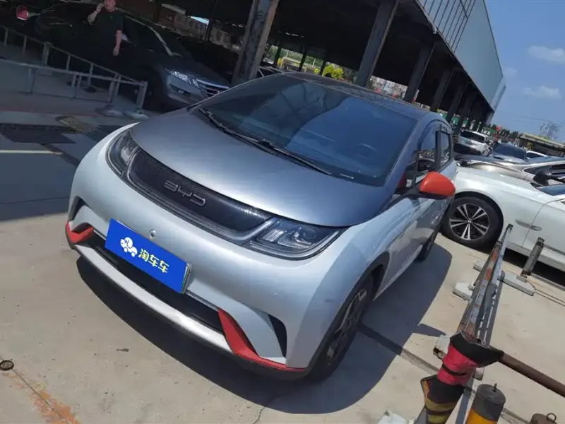 BYD Dolphin, 2021