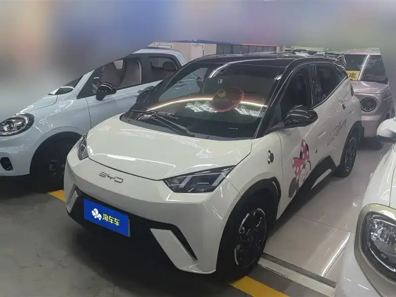BYD Seagull, 2024
