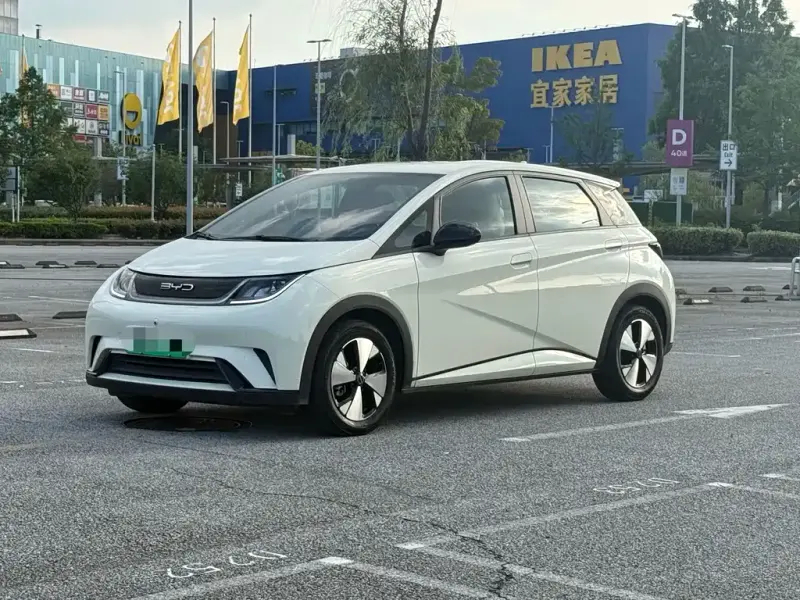 BYD Dolphin, 2024